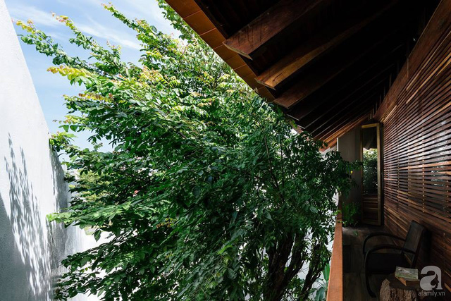Ngôi nhà gỗ mang hơi thở đồng bằng Bắc Bộ tách biệt tiếng ồn, khói bụi dù xây giữa lòng thành phố Nha Trang - Ảnh 26.